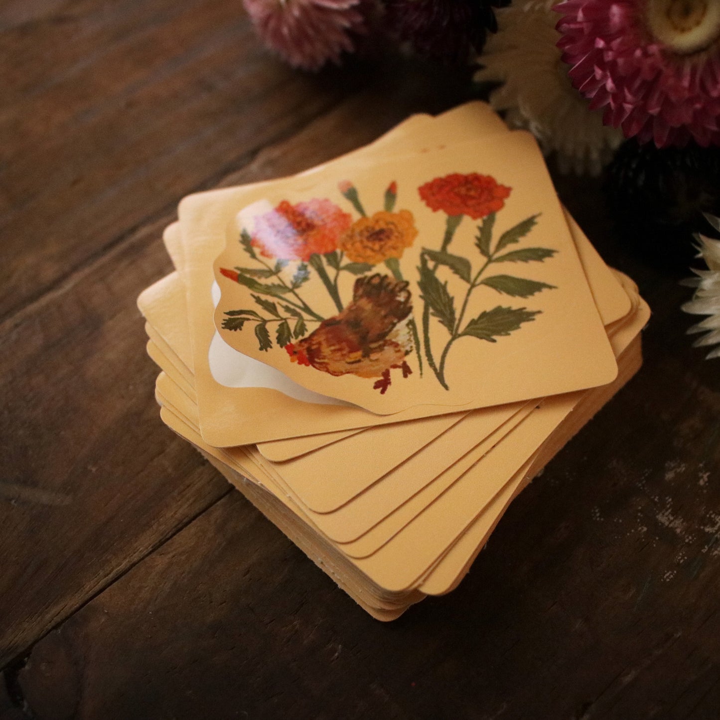 Vinyl sticker "Chicken and Marigolds"