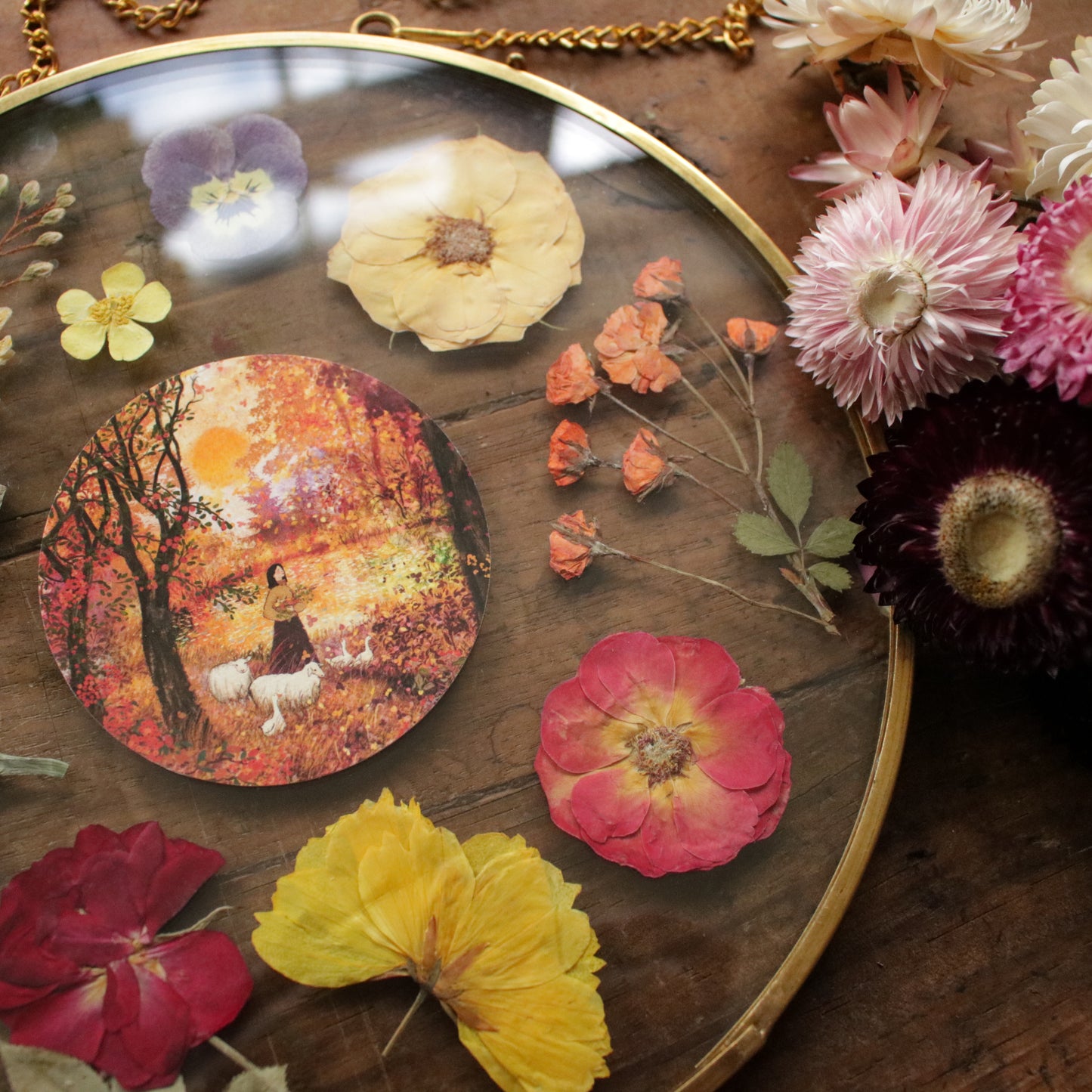 Seconds Pressed flower frame with Sweet Autumn Sun art print