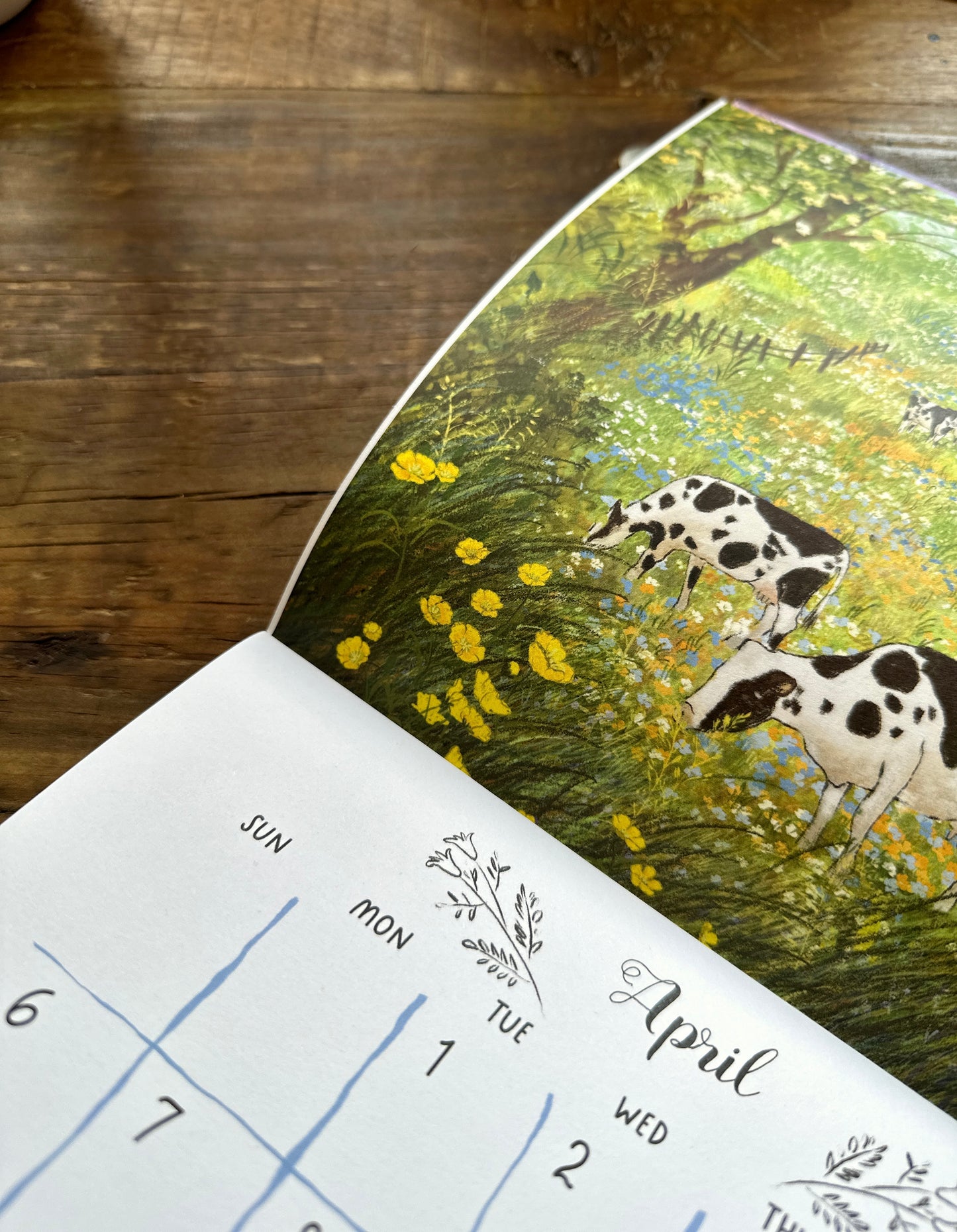 2025 Wall Calendar B-grade