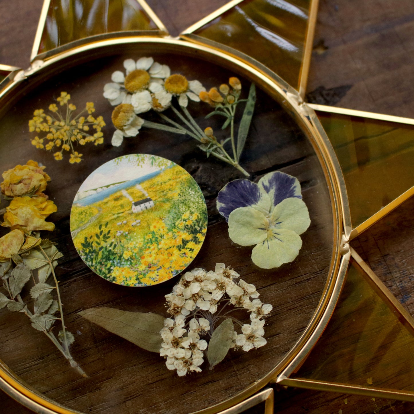 Pressed flower frame with View of the Seven Sisters art print