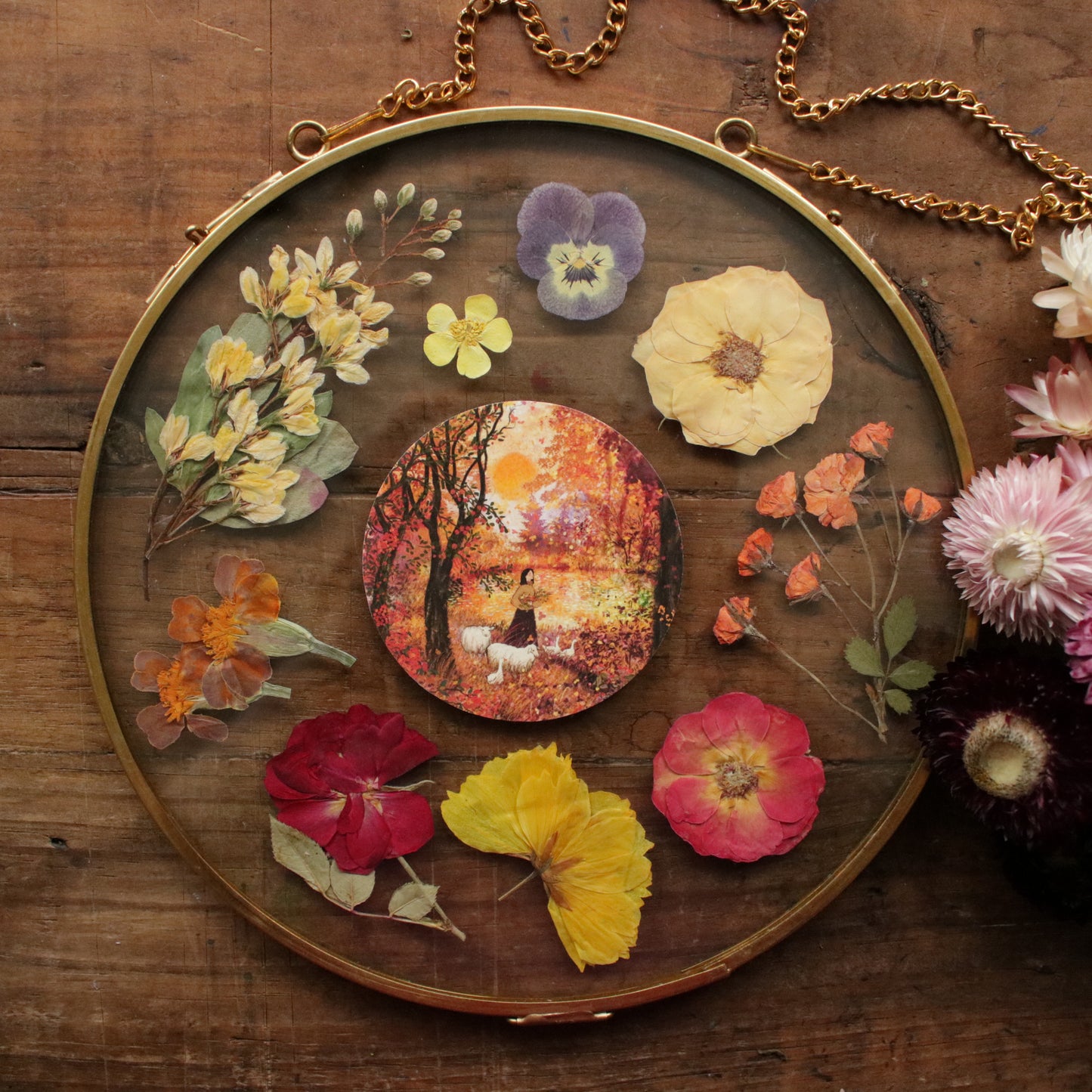 Seconds Pressed flower frame with Sweet Autumn Sun art print