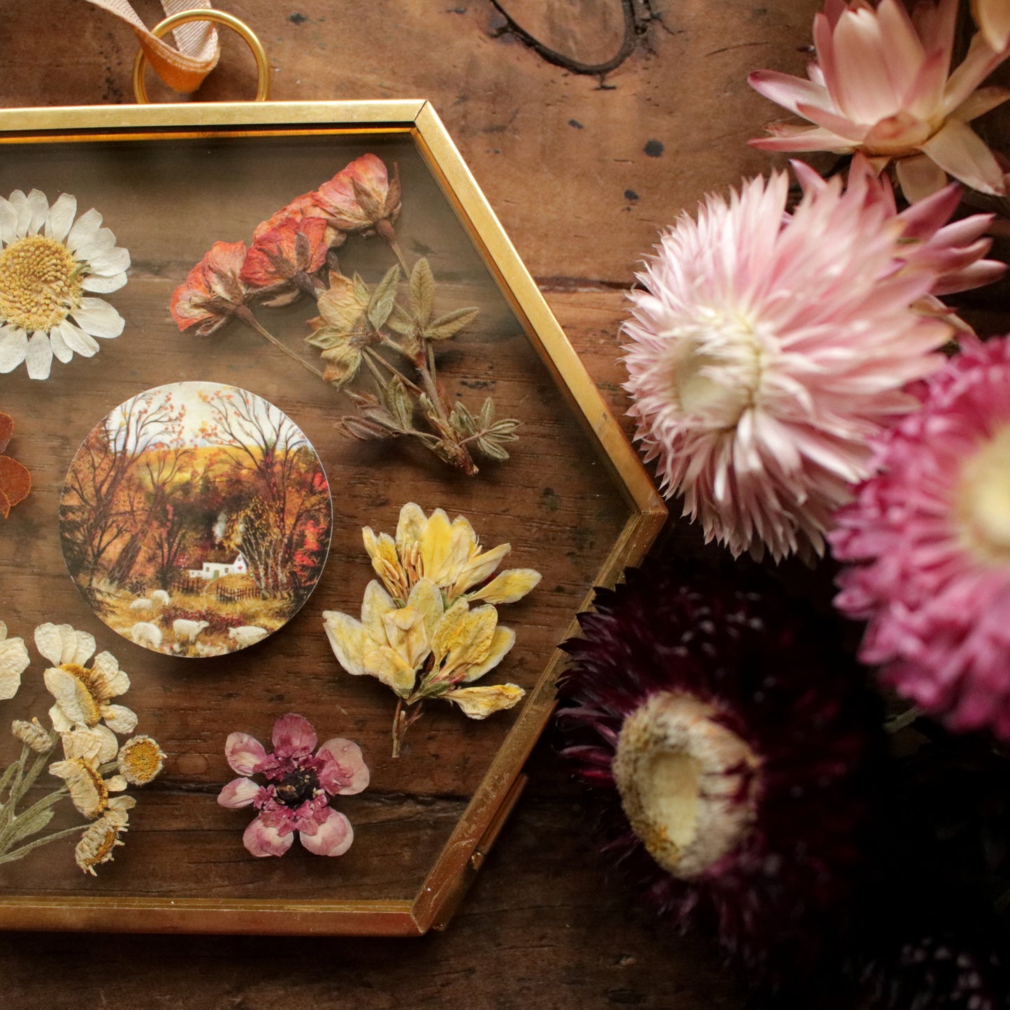 Hexagon pressed flower frame with Fern and Sheep art print