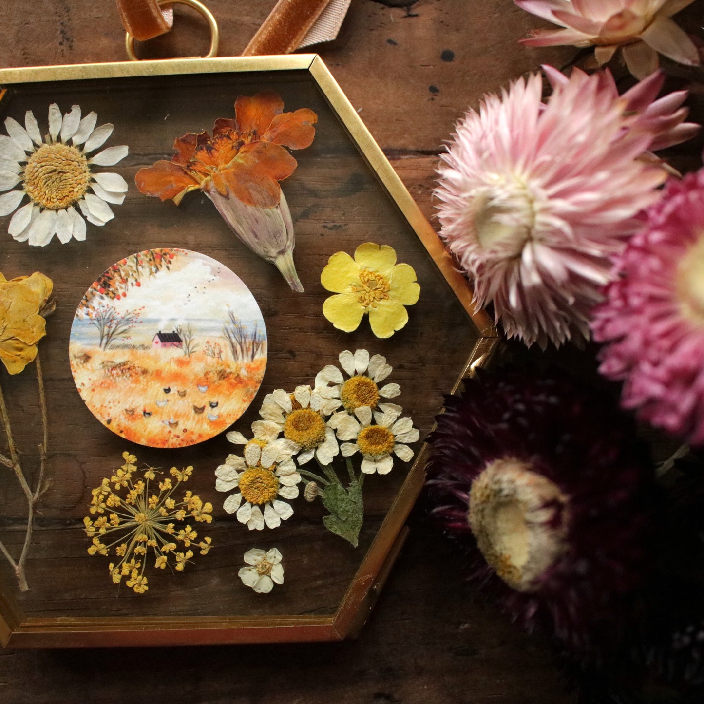 Hexagon pressed flower frame with Chickens in my Backyard art print