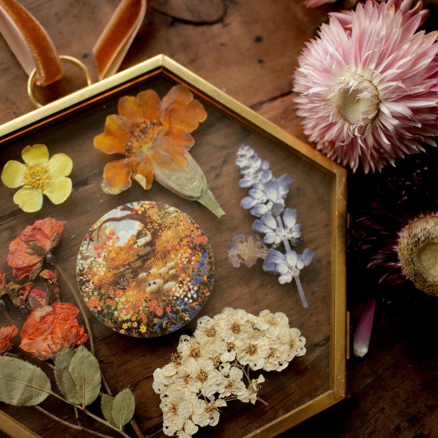 Hexagon pressed flower frame with Apple Tree and Sheep art print