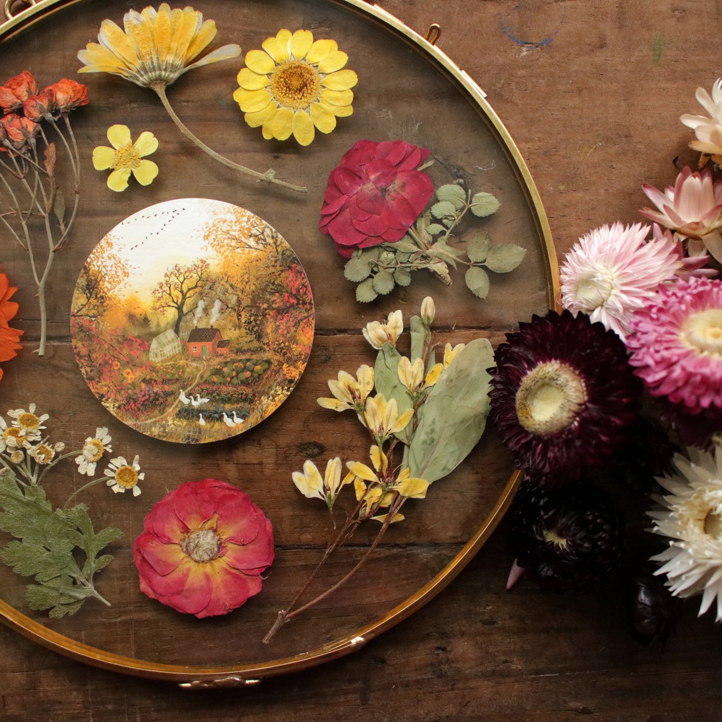 Seconds Pressed flower frame with Autumn's Embrace art print