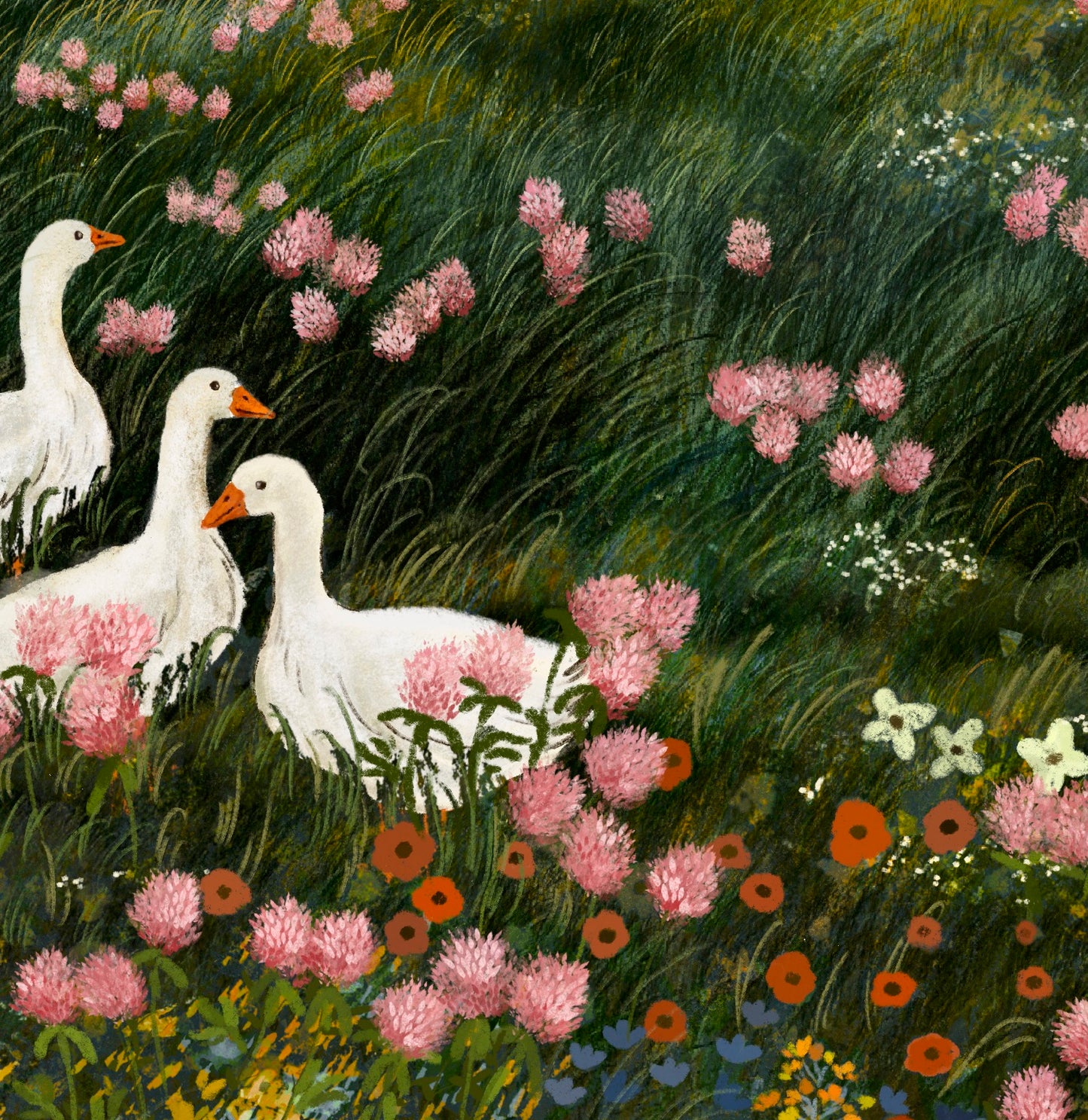 Giclée Fine Art Print "Red Clover Field"