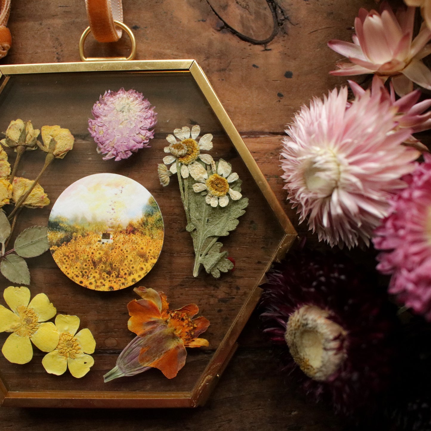 Hexagon pressed flower frame with Sunflower Field art print