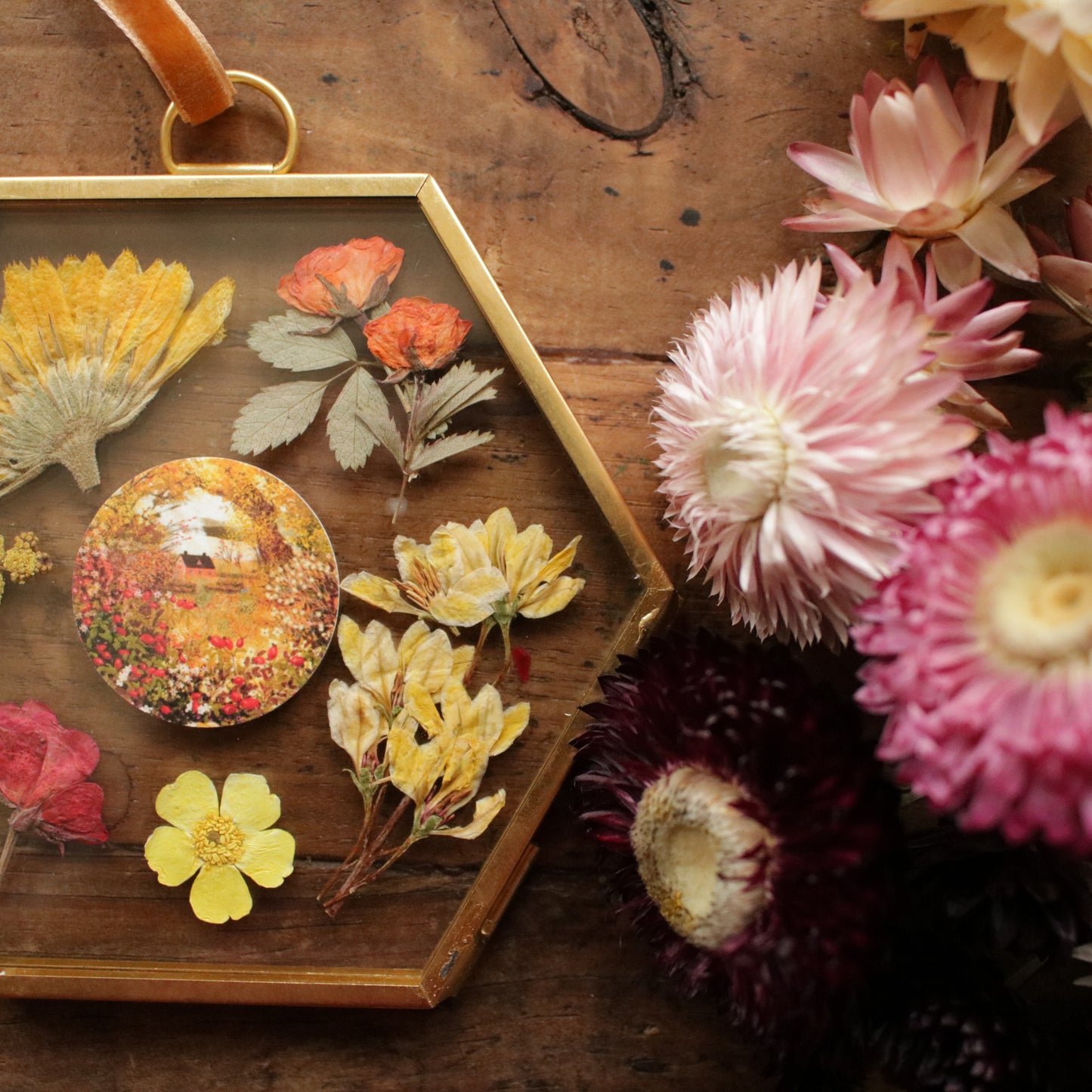 Hexagon pressed flower frame with Smell of Rosehip art print