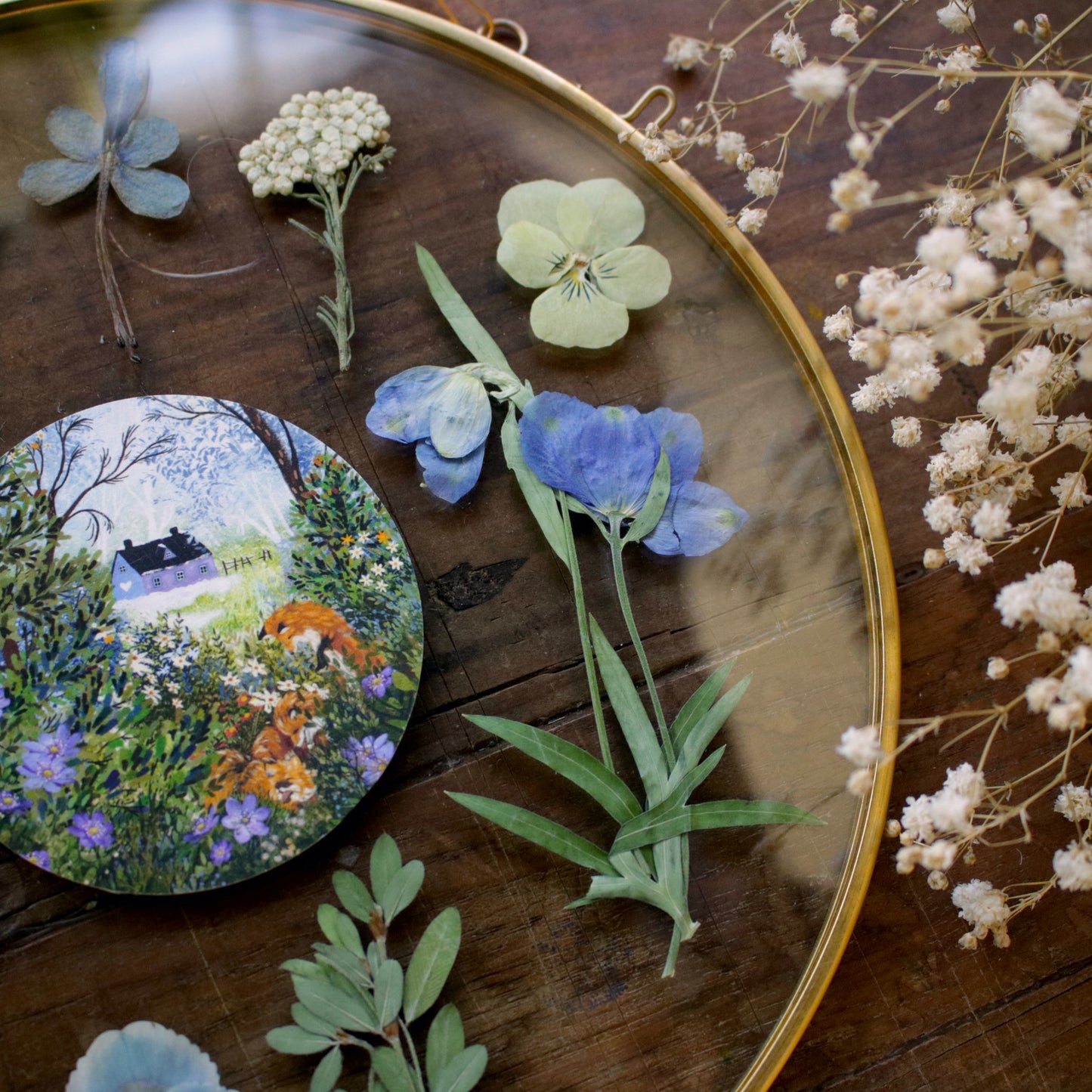 Pressed flower frame with Thawing Woodland art print