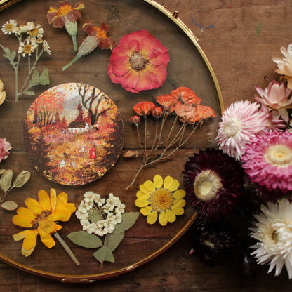 Seconds Pressed flower frame with Autumn Letters art print