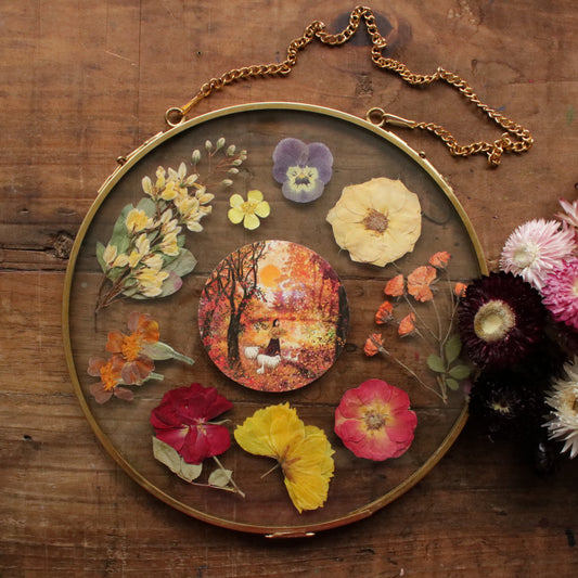Seconds Pressed flower frame with Sweet Autumn Sun art print
