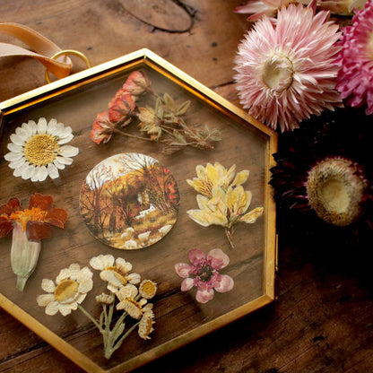 Hexagon pressed flower frame with Fern and Sheep art print