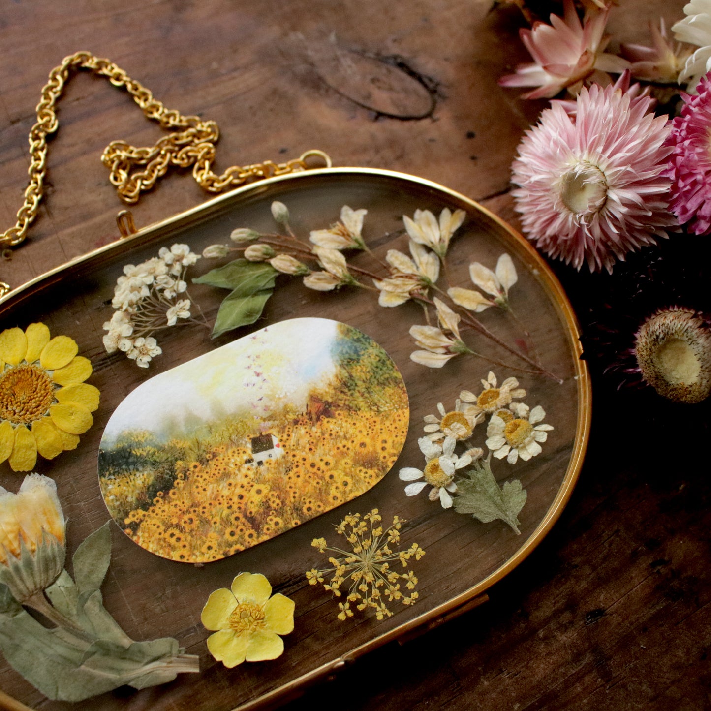 Seconds Pressed flower frame with Sunflower Field art print