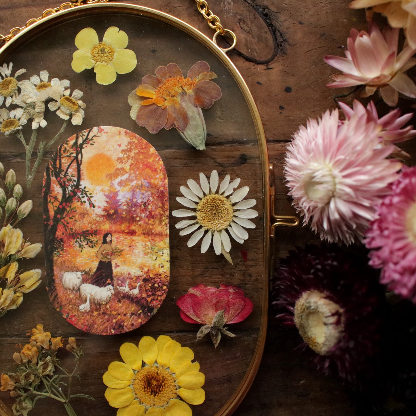 Pressed flower frame with Sweet Autumn Sun art print