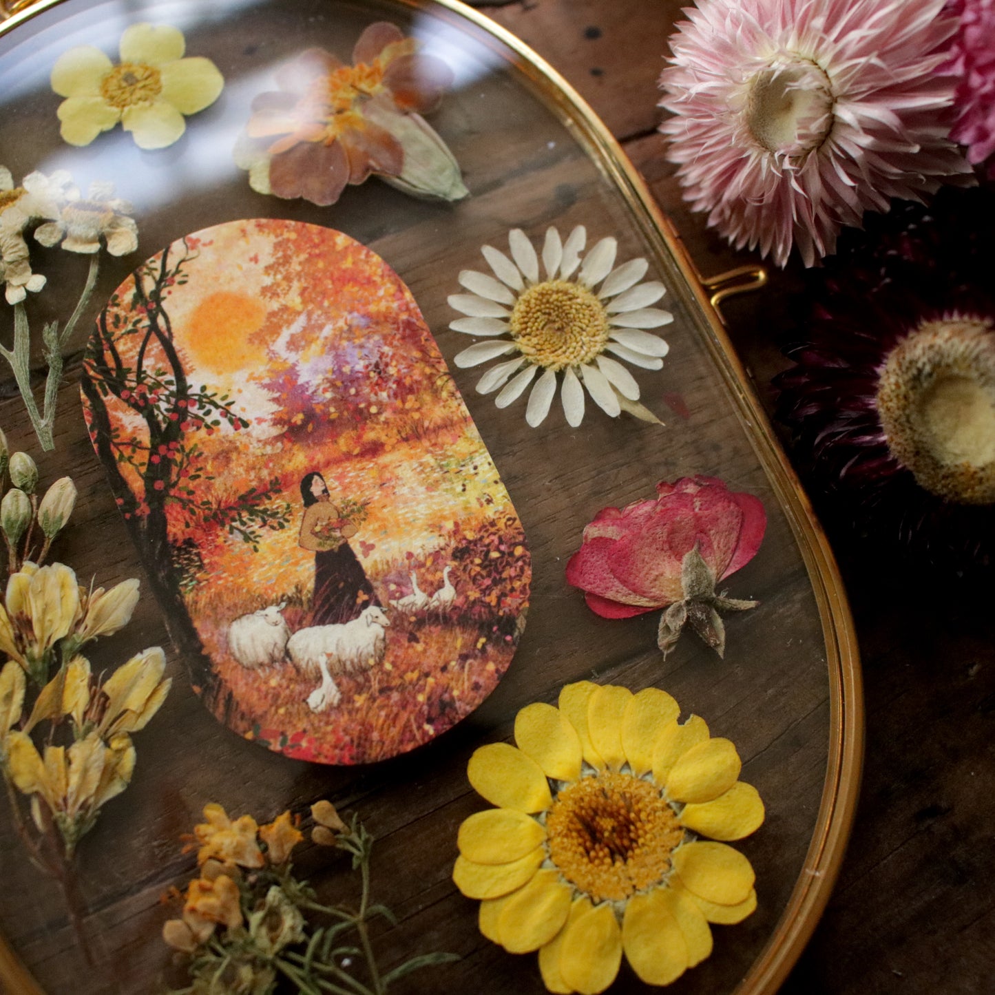 Pressed flower frame with Sweet Autumn Sun art print