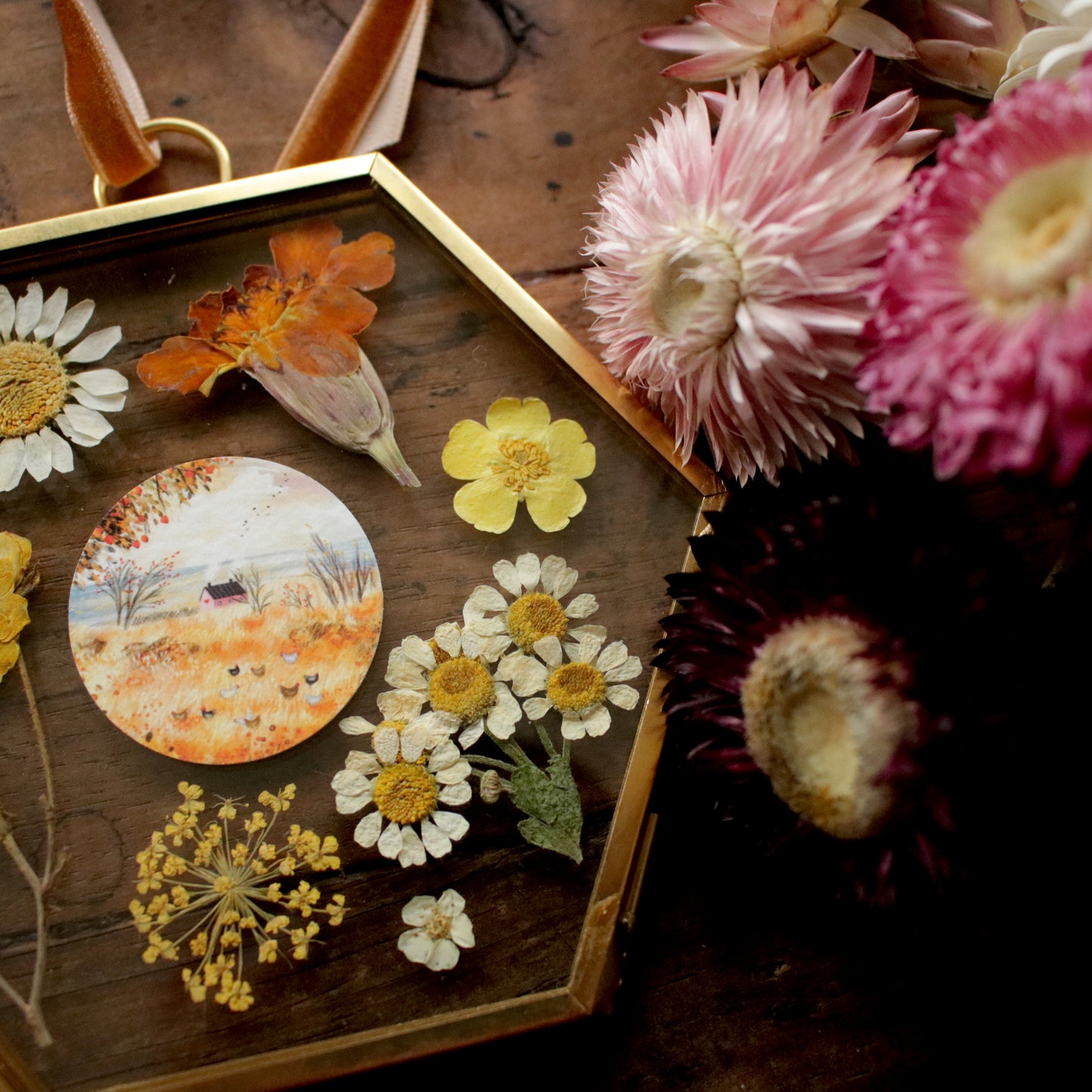 Hexagon pressed flower frame with Chickens in my Backyard art print