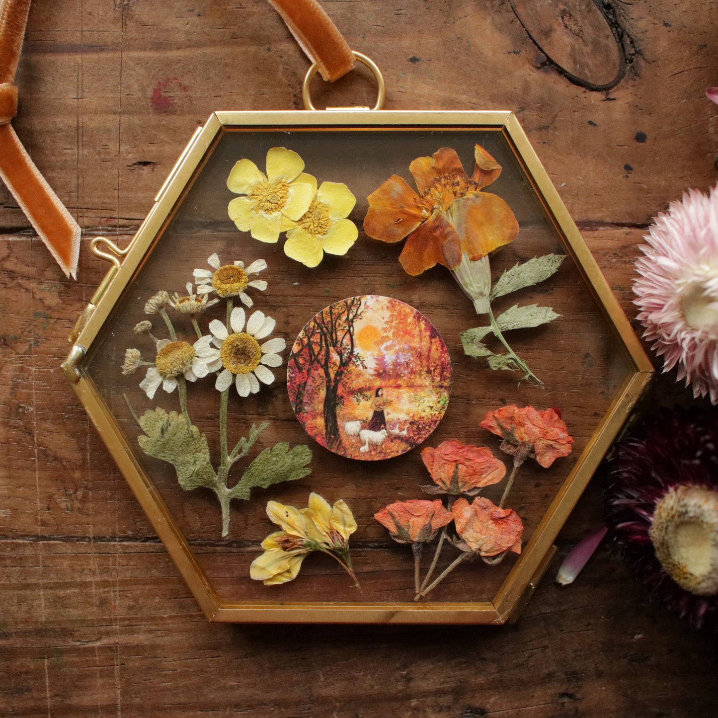 Hexagon pressed flower frame with Sweet Autumn Sun art print