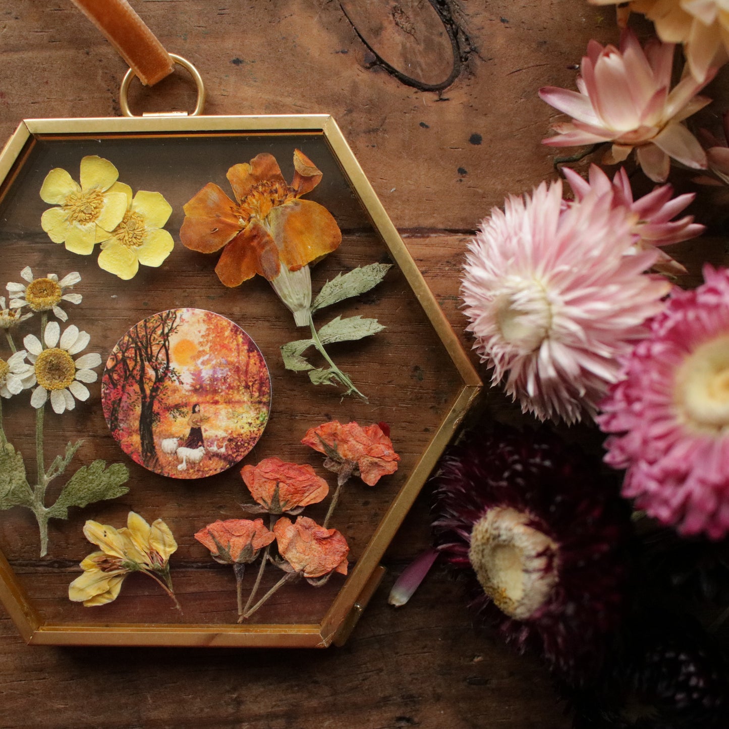 Hexagon pressed flower frame with Sweet Autumn Sun art print