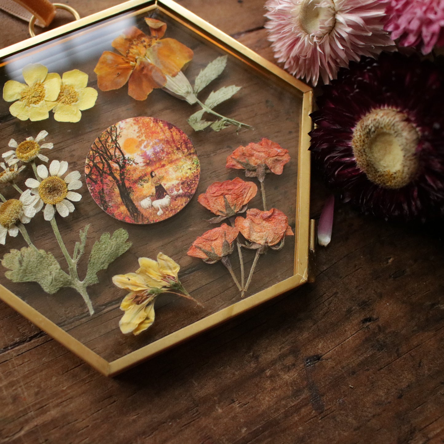 Hexagon pressed flower frame with Sweet Autumn Sun art print