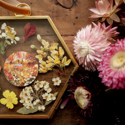 Hexagon pressed flower frame with Autumn Camping art print