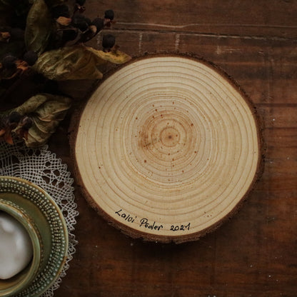 Original Woodslice Painting "Sunrise in the Arctic"