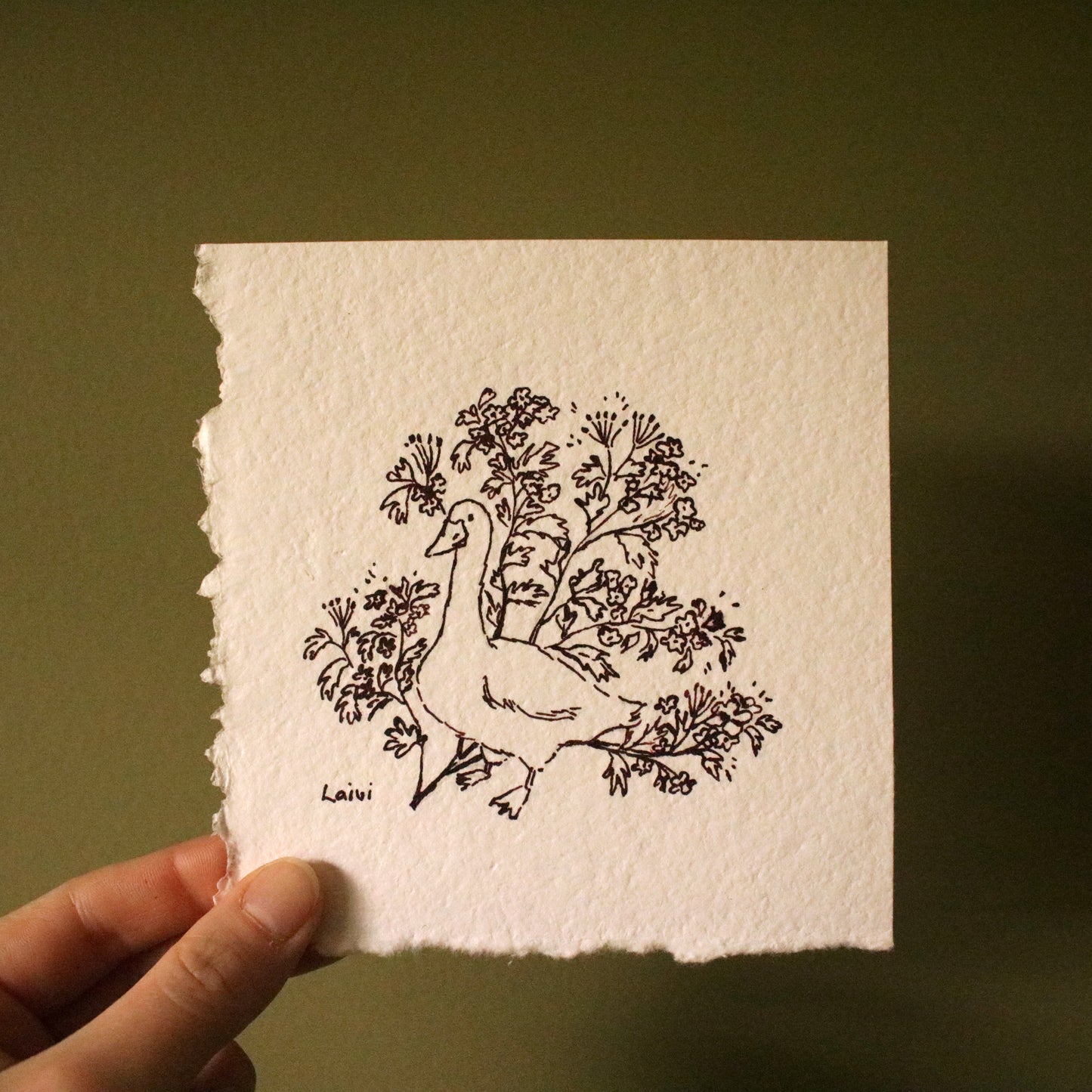 Original Ink Drawing "Goose and Hawthorn"