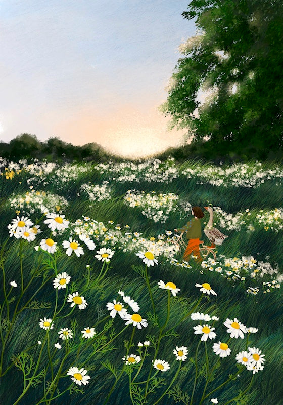 Giclee Fine Art Print  "Chamomile Hill"